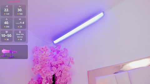 Sennia online show from 15, 2, 2025