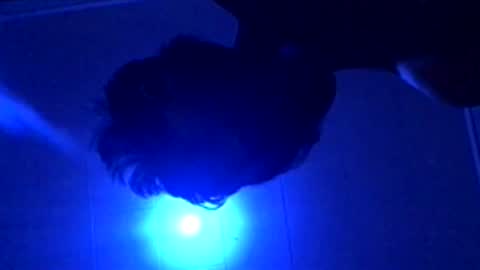 Snapshot of senseisalami chatting on 27, 11, 2025 senseisalami online show from 27, 11, 2025