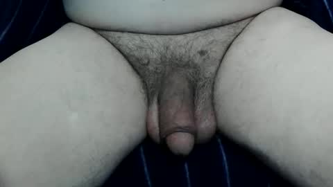 serviceforu here just for fun online show from 31, 5, 2026