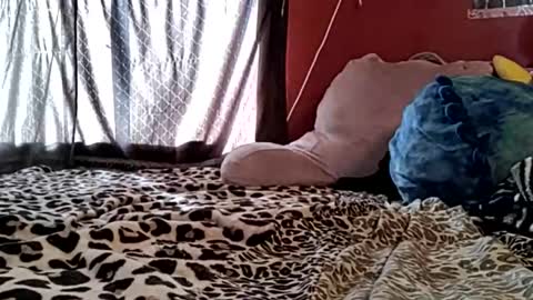 sexiwhiskey699 online show from 21, 2, 2026