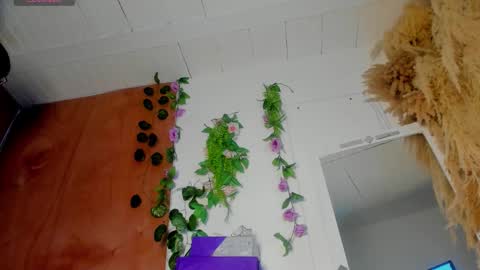 sexking_david online show from 22, 12, 2025