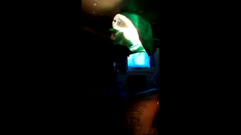 sextyplayboy online show from 4, 4, 2026