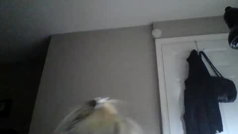 sexxiibossbabe online show from 19, 12, 2025