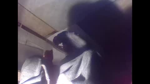 sexy15802 online show from 4, 1, 2025