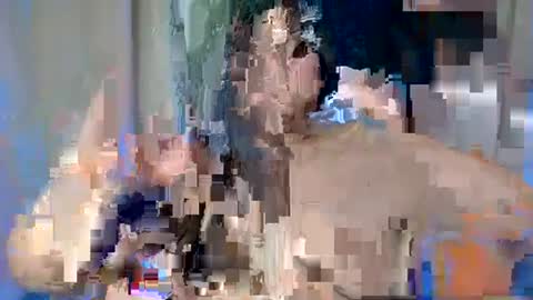 Snapshot of sexy_devotion chatting on 17, 2, 2025 ALFREA online show from 17, 2, 2025