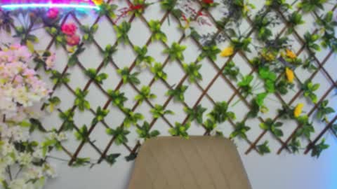 Lily online show from 26, 3, 2026