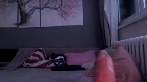     .... ............ Onlyfans   online show from 29, 1, 2025