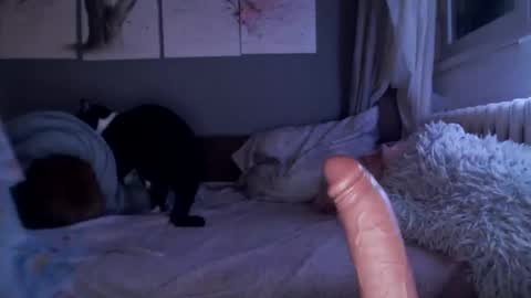     .... ............ Onlyfans   online show from 21, 2, 2025