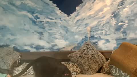 Snapshot of sexyeni chatting on 22, 2, 2025 ENI pvt moan your name WHEN I M NOT online you tell me in SNAPCHAT deal yes add me... FREE TWITTER magiconline101...... online show from 22, 2, 2025