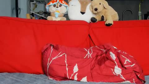 Ari online show from 9, 3, 2025