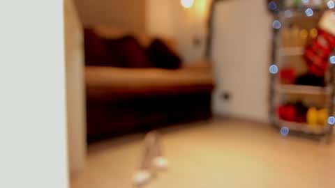 katalina larson online show from 29, 12, 2024