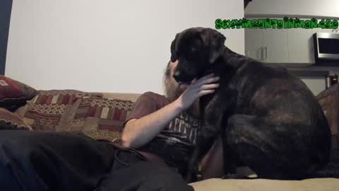 Snapshot of sexymountainman420 chatting on 24, 12, 2024 Sexymountainman420 online show from 24, 12, 2024