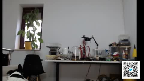 Snapshot of sexymuscle26 chatting on 4, 2, 2025 Adrian online show from 4, 2, 2025