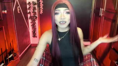 N A F online show from 13, 11, 2025