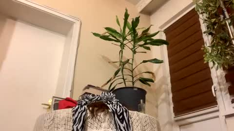 Anya online show from 22, 1, 2025