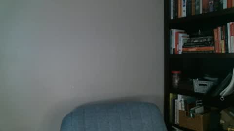 Snapshot of shamelesswetdream chatting on 24, 2, 2025 shamelesswetdream online show from 24, 2, 2025