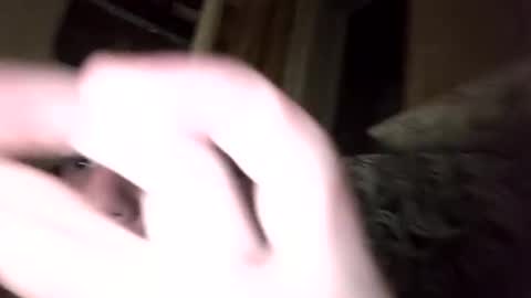 Shamilka online show from 17, 9, 2025