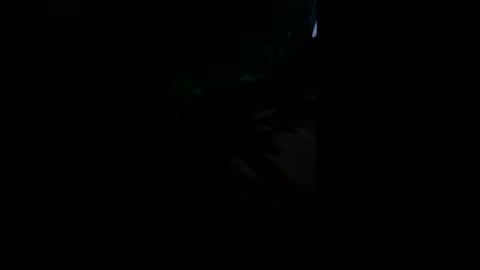 Snapshot of shaunhosking3 chatting on 9, 2, 2026 shaunhosking3 online show from 9, 2, 2026