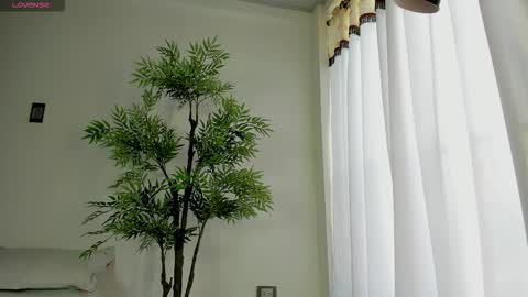 shazam online show from 17, 12, 2025