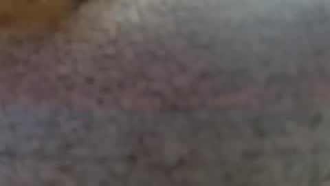 Snapshot of shelikessoymilk chatting on 25, 2, 2025 Erika online show from 25, 2, 2025