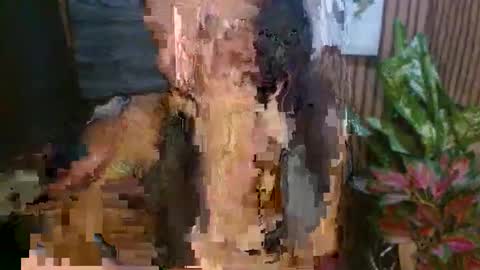 Snapshot of shemel69 chatting on 19, 5, 2026 MELODY online show from 19, 5, 2026