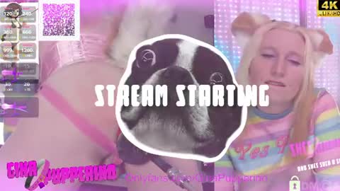 Gina online show from 27, 7, 2026
