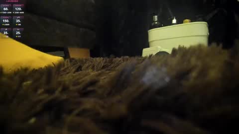 Snapshot of shinigamidoll chatting on 7, 3, 2025 Shinigamidoll see you soon online show from 7, 3, 2025