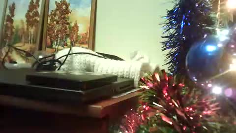 shirogane2004 online show from 9, 1, 2026