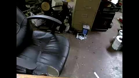 Shoani online show from 8, 11, 2025