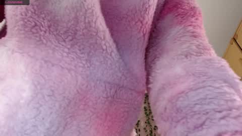 lamai online show from 26, 1, 2025