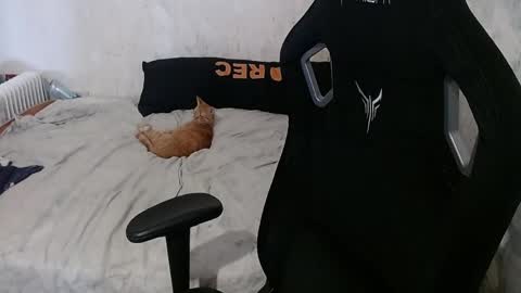 show_for_you online show from 23, 4, 2026