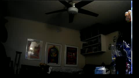 shrewtamer online show from 8, 1, 2025