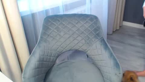 shy_26 online show from 11, 1, 2025