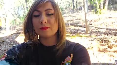 Snapshot of shy_college_girl chatting on 19, 1, 2025 Aurora Wolfe Shy College Girl Top 16 of all OF Creators online show from 19, 1, 2025