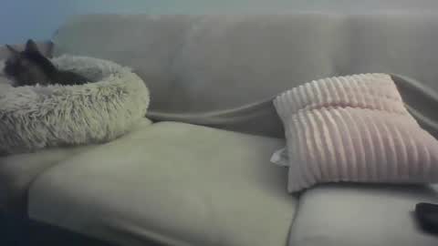 Lady Sif online show from 16, 2, 2026