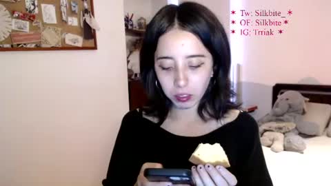 Snapshot of silkbite chatting on 7, 6, 2026 silkbite online show from 7, 6, 2026