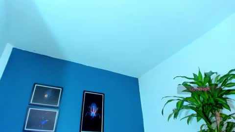 silvabranko online show from 9, 11, 2025