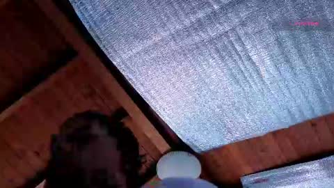 Snapshot of silvabranko chatting on 13, 7, 2026 silvabranko online show from 13, 7, 2026