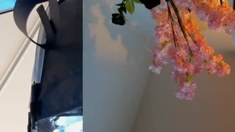 Snapshot of siouxsie_cenobite chatting on 24, 6, 2026 Siouxsie online show from 24, 6, 2026