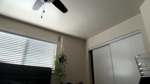 sirbubblesworth online show from 21, 3, 2026