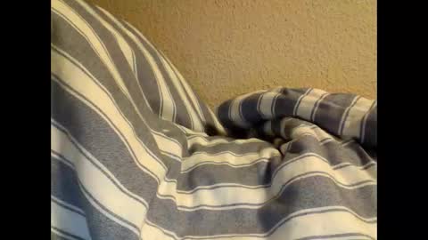 Snapshot of sircamalot45 chatting on 17, 2, 2025 sircamalot45 online show from 17, 2, 2025