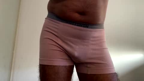 Brown Fox online show from 29, 12, 2024