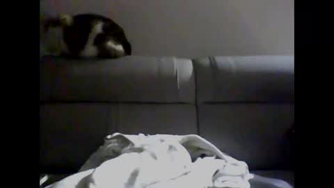 miguel online show from 2, 12, 2024