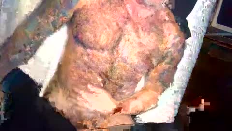 BEEF online show from 3, 1, 2025