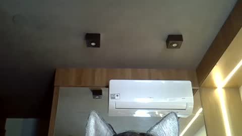 skinnykittencam online show from 7, 11, 2025