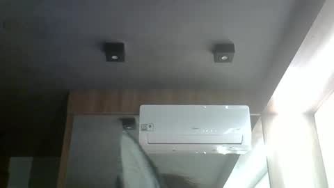 skinnykittencam online show from 17, 3, 2026