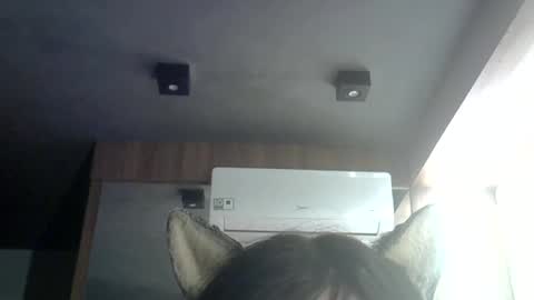skinnykittencam online show from 25, 6, 2026