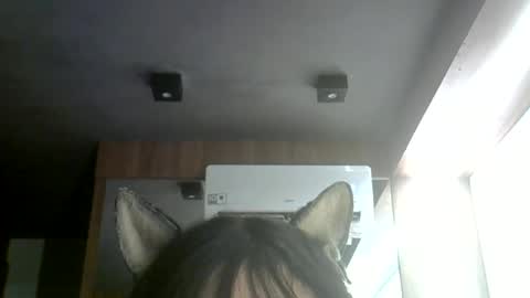 skinnykittencam online show from 30, 6, 2026