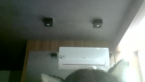 skinnykittencam online show from 2, 7, 2026