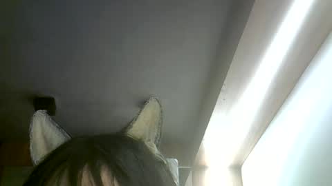 skinnykittencam online show from 5, 7, 2026